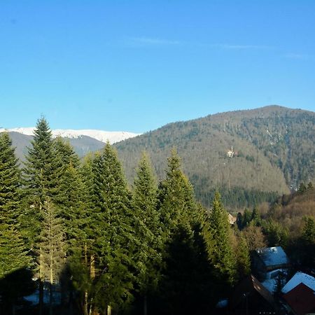 Grandpa'S Hidden Crib, 6 Bedroom, Pet Friendly Sinaia Bagian luar foto