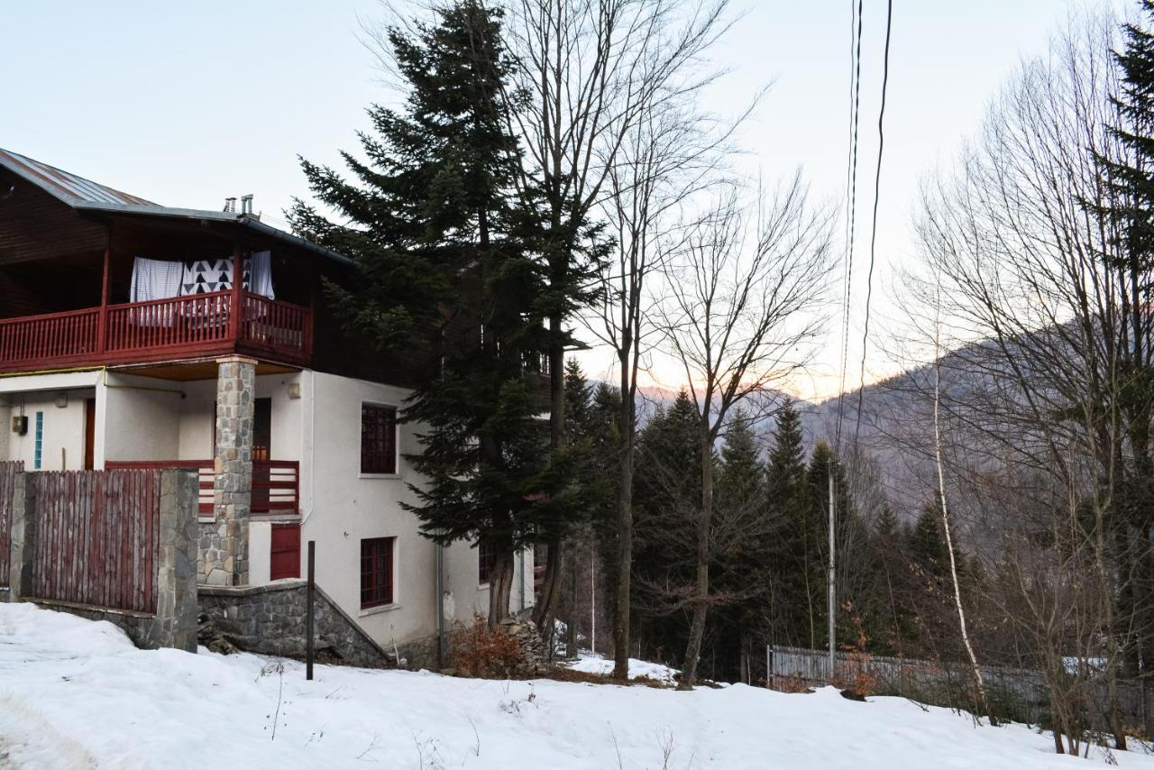 Grandpa'S Hidden Crib, 6 Bedroom, Pet Friendly Sinaia Bagian luar foto