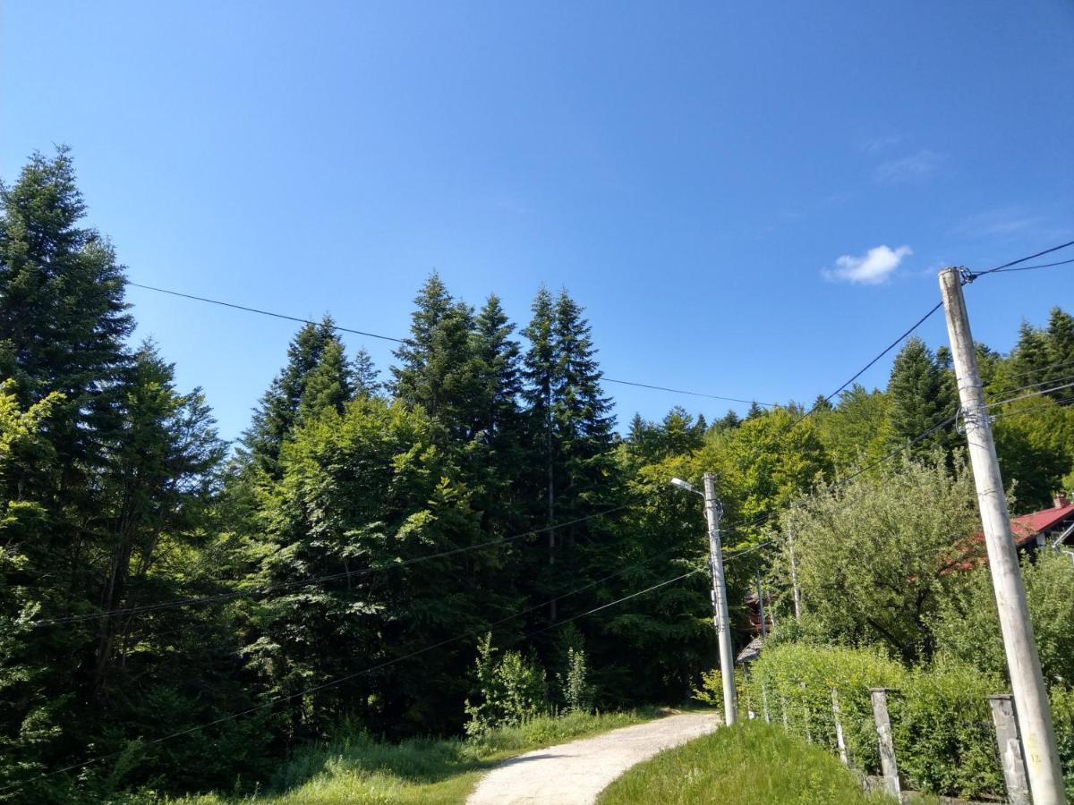 Grandpa'S Hidden Crib, 6 Bedroom, Pet Friendly Sinaia Bagian luar foto