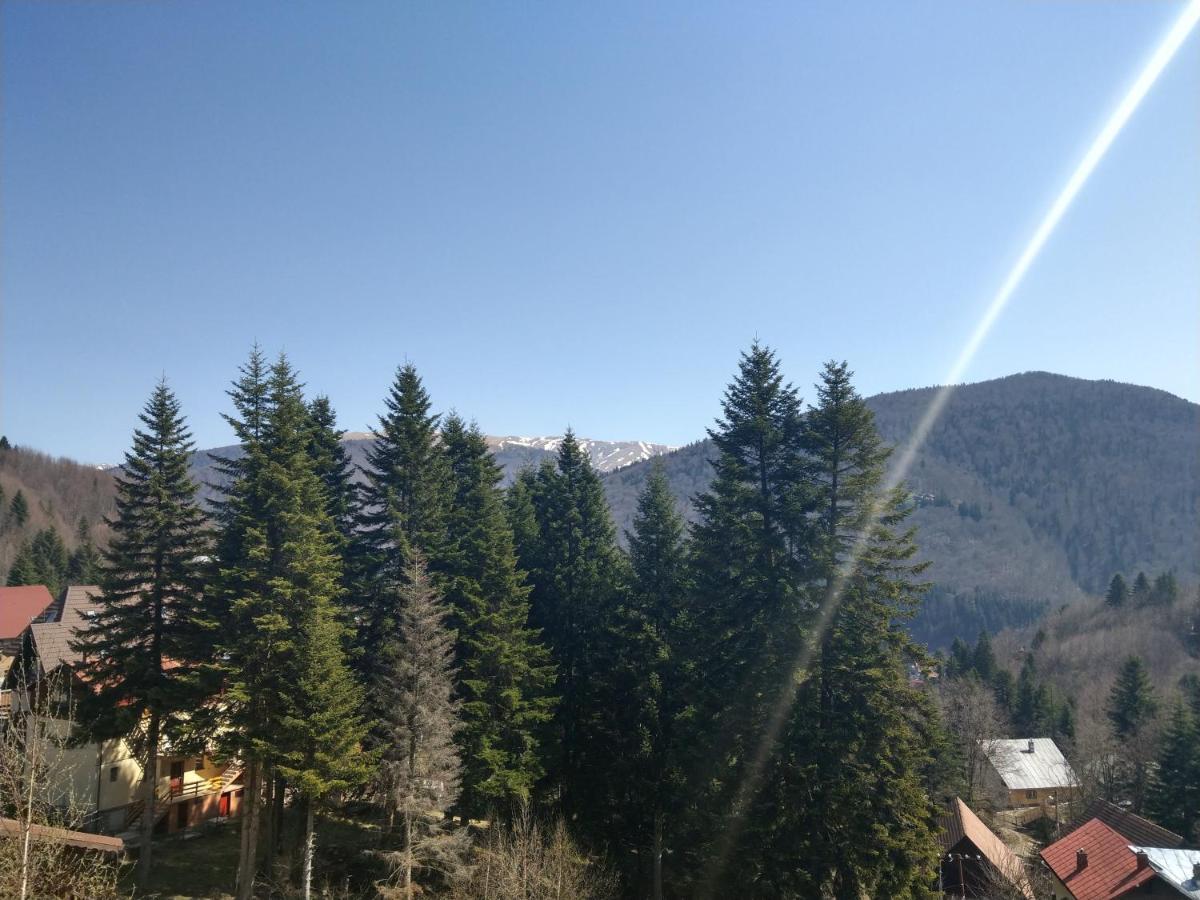 Grandpa'S Hidden Crib, 6 Bedroom, Pet Friendly Sinaia Bagian luar foto