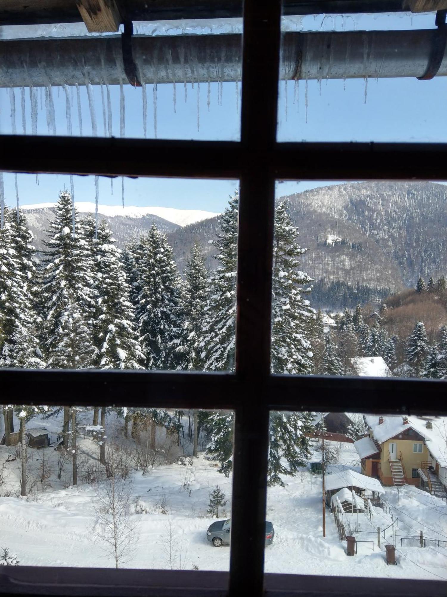 Grandpa'S Hidden Crib, 6 Bedroom, Pet Friendly Sinaia Bagian luar foto