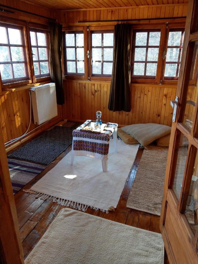 Grandpa'S Hidden Crib, 6 Bedroom, Pet Friendly Sinaia Bagian luar foto