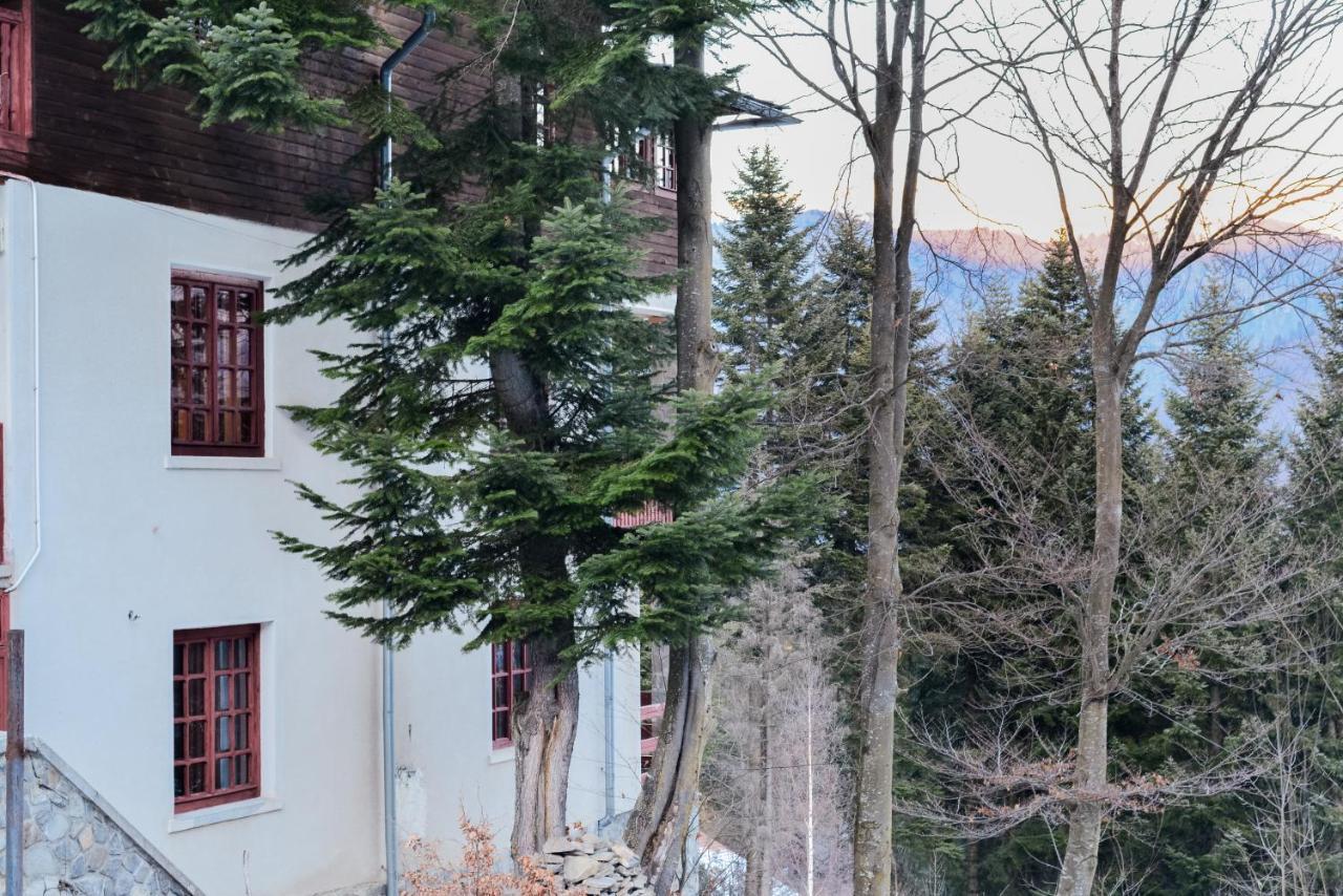 Grandpa'S Hidden Crib, 6 Bedroom, Pet Friendly Sinaia Bagian luar foto