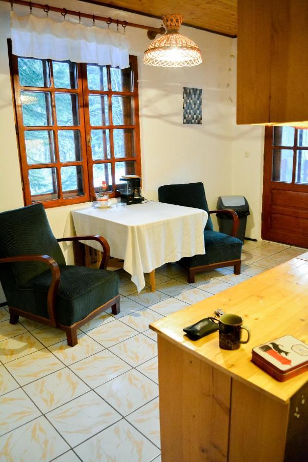 Grandpa'S Hidden Crib, 6 Bedroom, Pet Friendly Sinaia Bagian luar foto