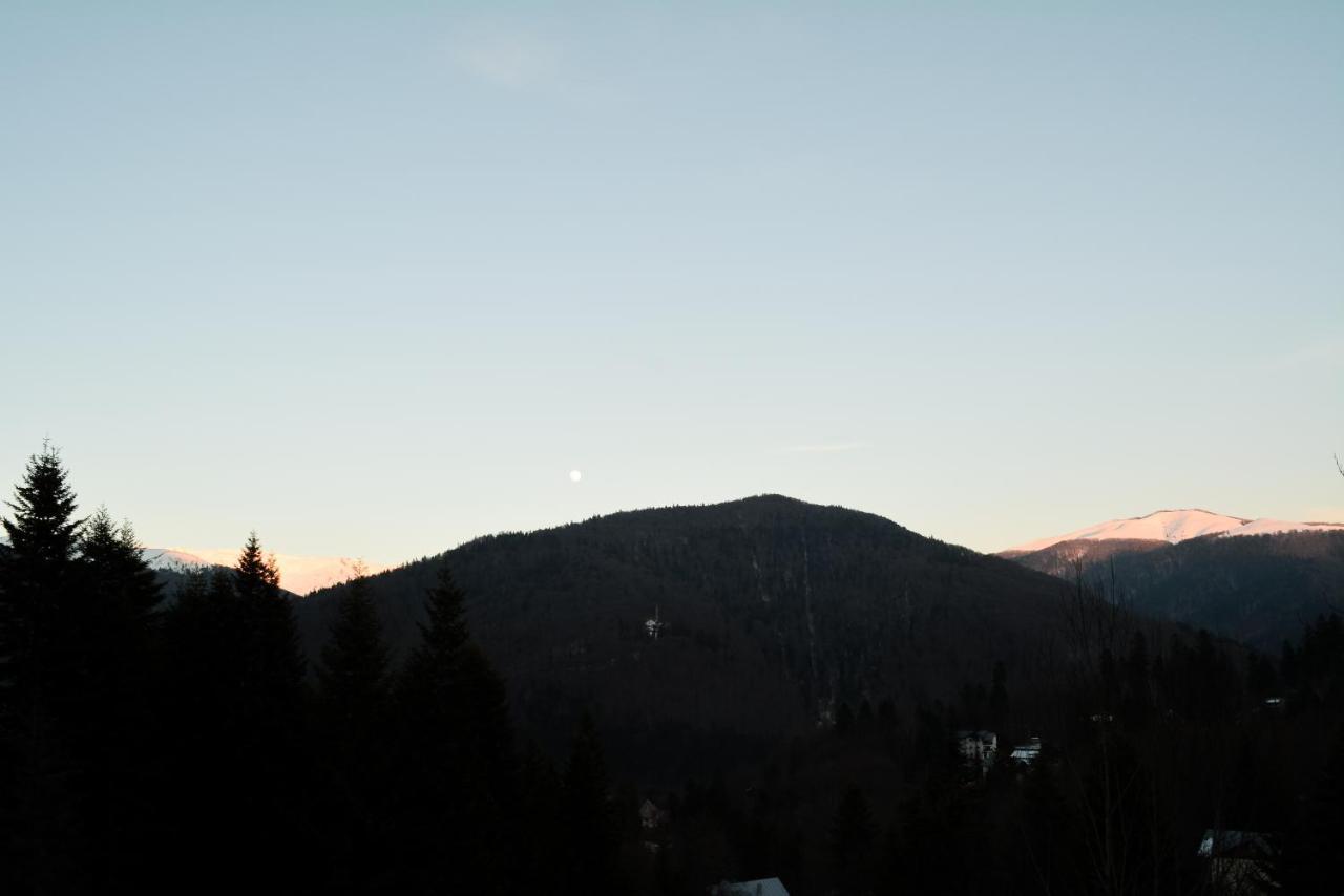 Grandpa'S Hidden Crib, 6 Bedroom, Pet Friendly Sinaia Bagian luar foto