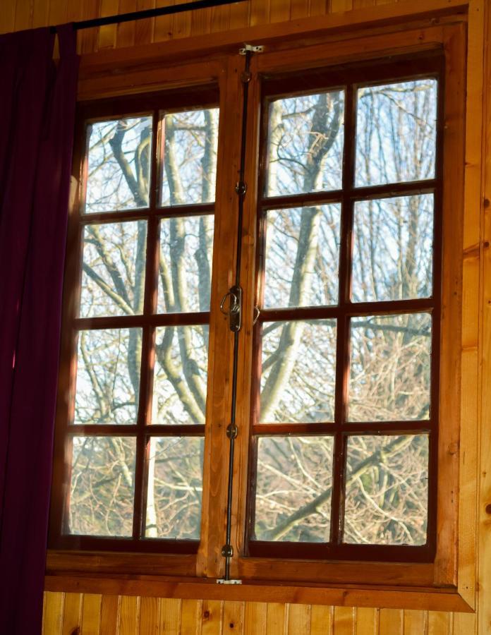 Grandpa'S Hidden Crib, 6 Bedroom, Pet Friendly Sinaia Bagian luar foto
