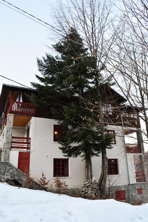 Grandpa'S Hidden Crib, 6 Bedroom, Pet Friendly Sinaia Bagian luar foto